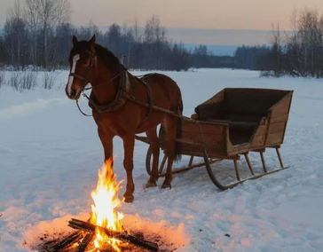 Пикник на санях